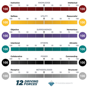 12 Driving Forces Continuum "cloth" Mat (102" x 102")